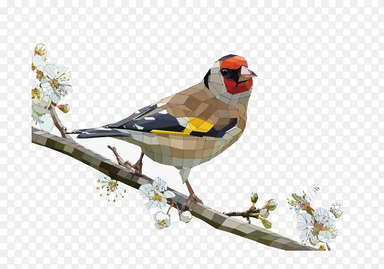 树枝上的画眉