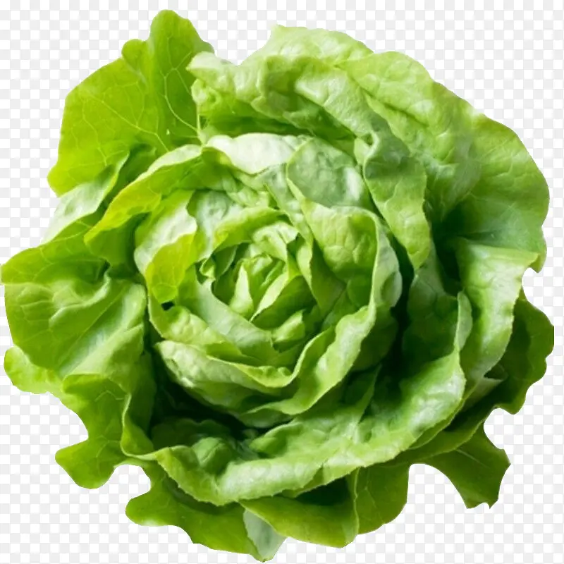 有机蔬菜正面