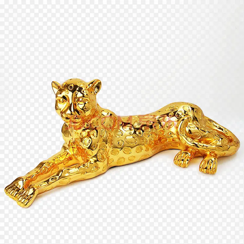 金色猎豹