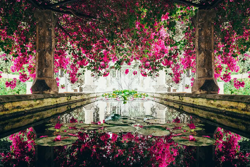 欧式花廊荷花池海报背景