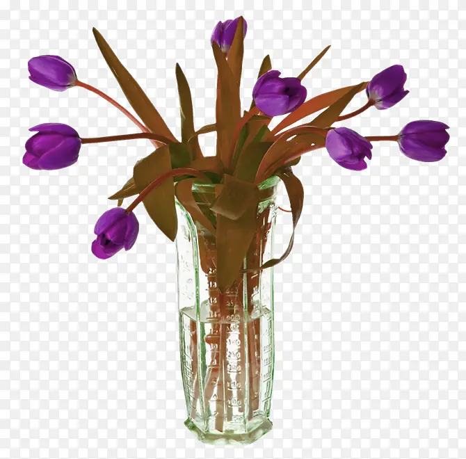 紫色花朵瓶子插花