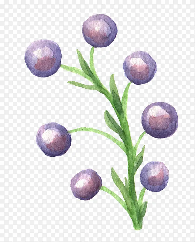 清新森系水彩紫色小果子