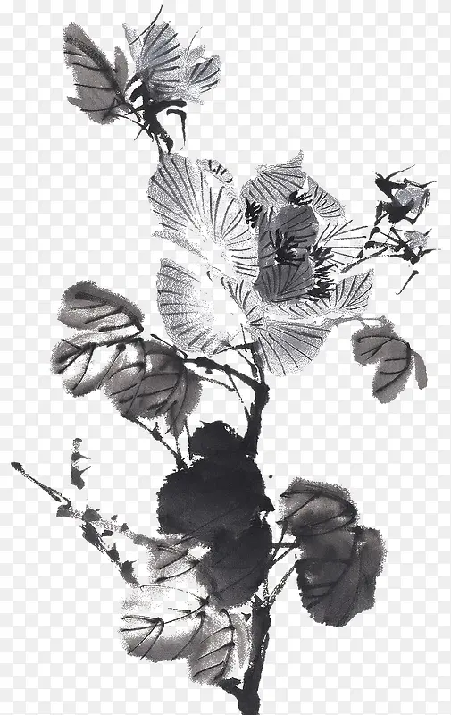 水墨花卉海棠花国画PNG图片素材下载_图片编号yarjxkwz-免抠素材网 