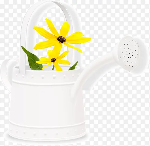 洒水壶里的向日葵