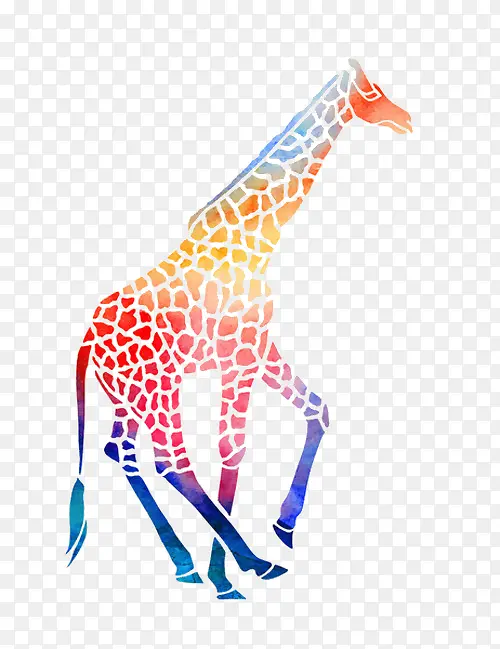 彩色斑点长颈鹿