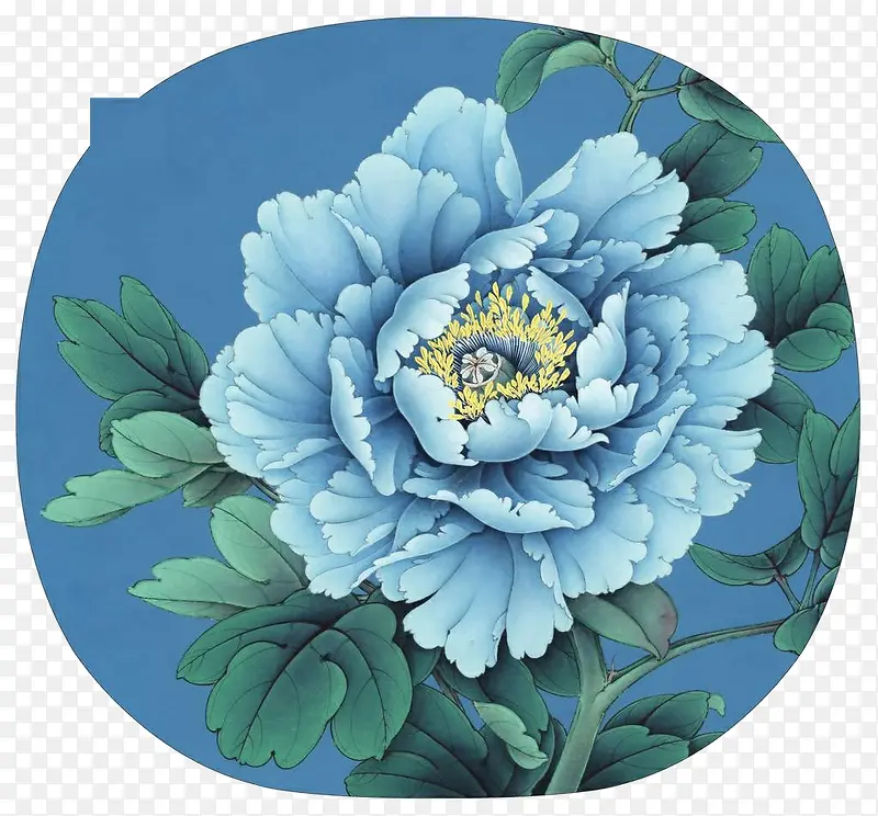 蓝色牡丹
