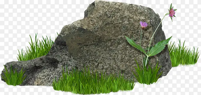 长着草的石头