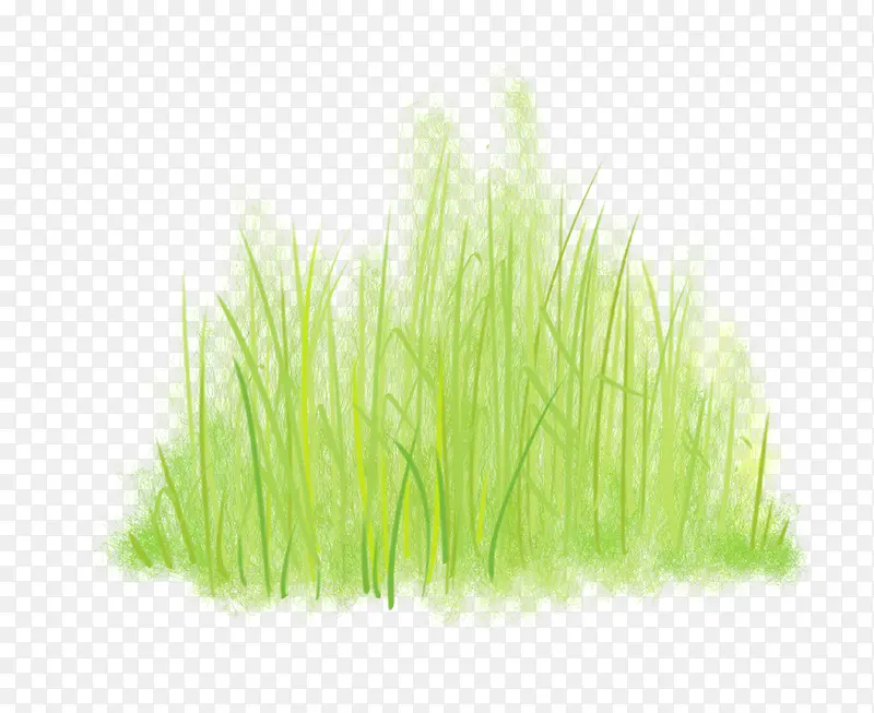 绿色手绘小草