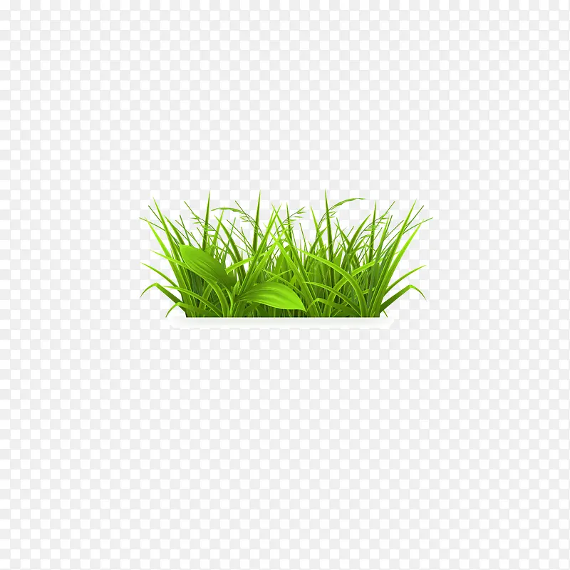 绿色的草堆