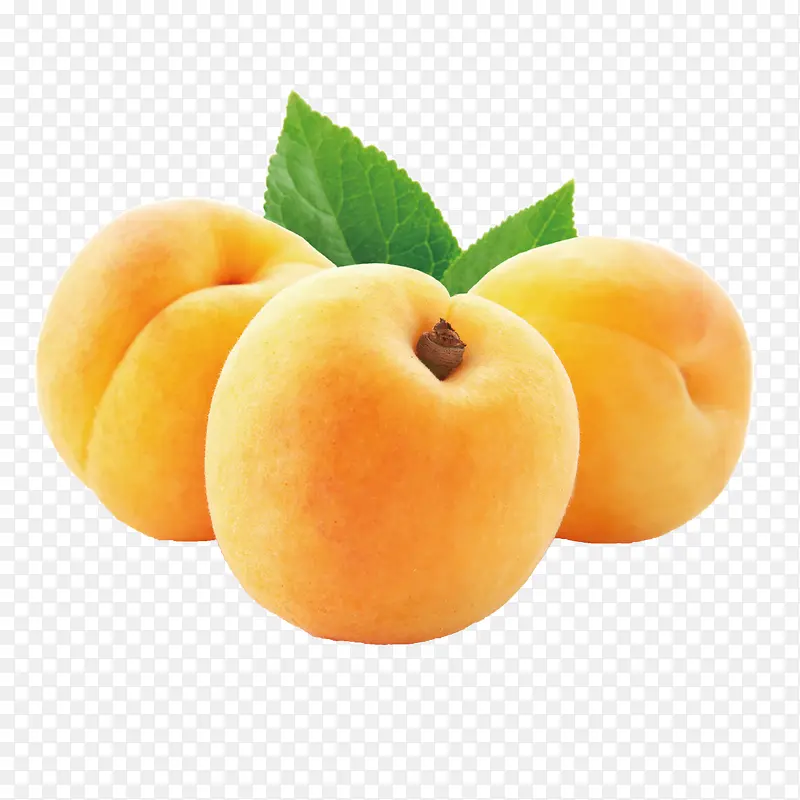 实物水果三个黄桃