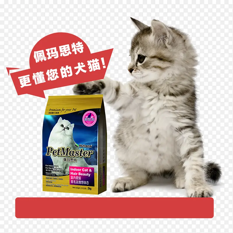 猫粮宠物店宣传单