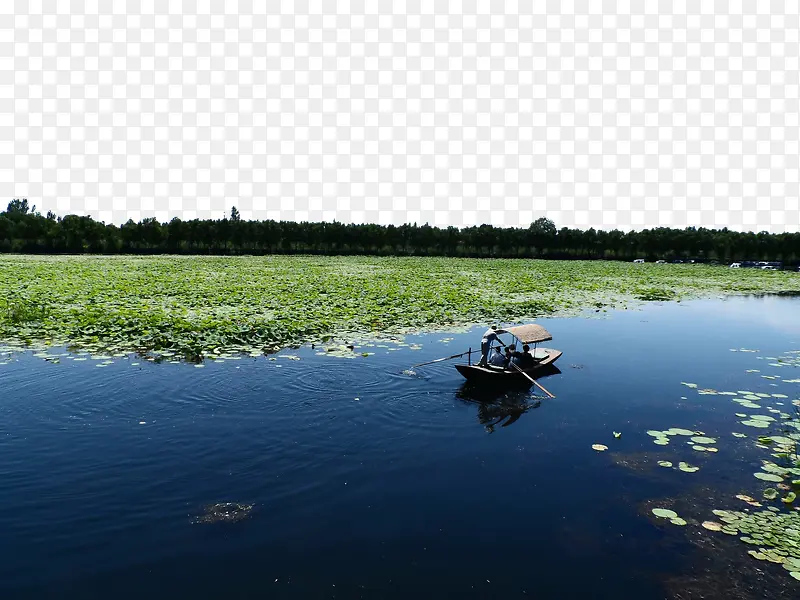 河北白洋淀风景图