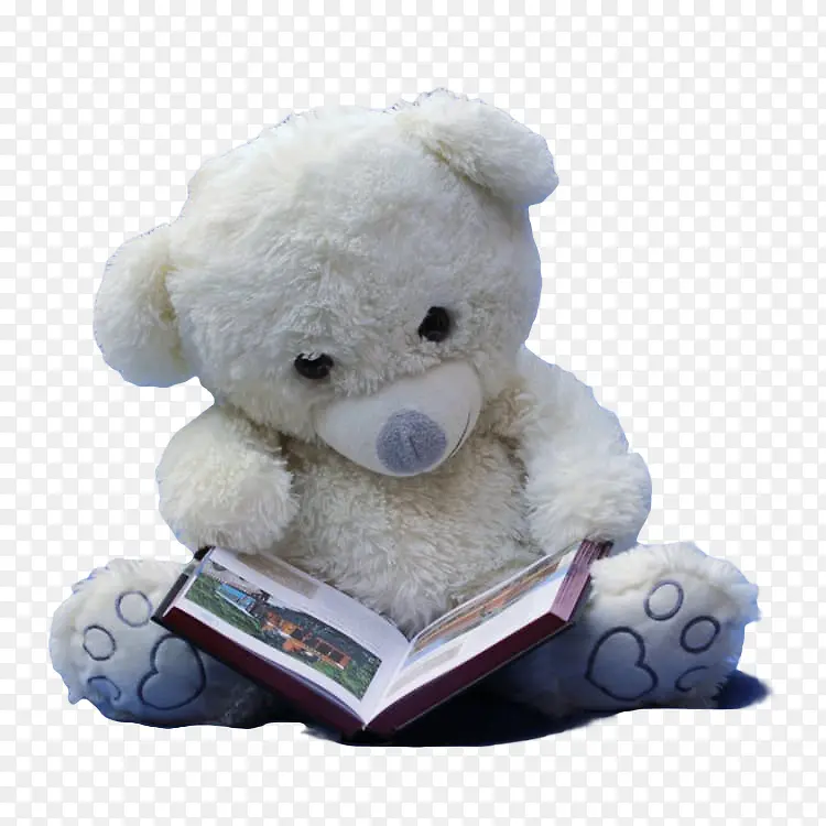 熊娃娃在看书