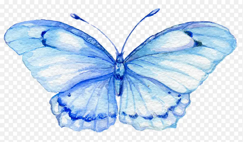 蓝色手绘的漂亮蝴蝶
