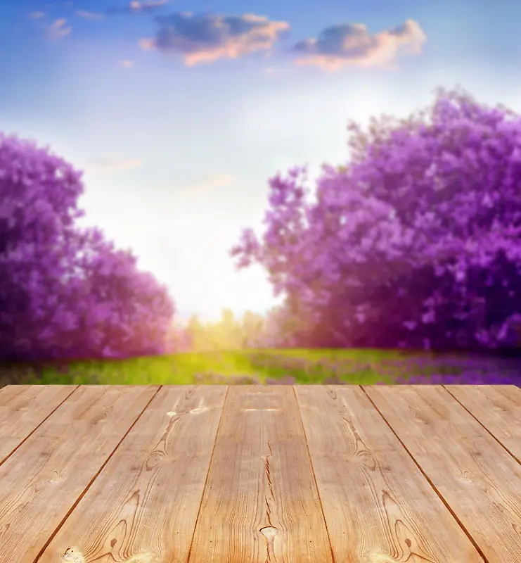 紫色花树木板海报背景