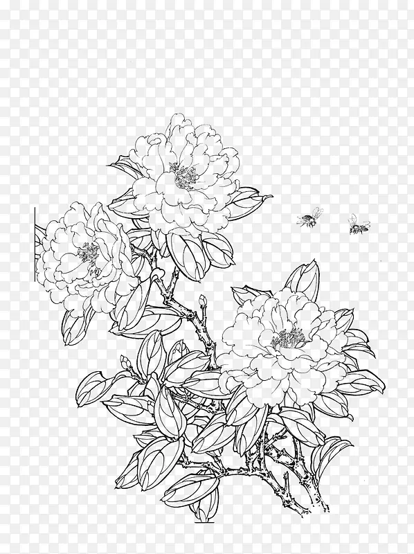 山茶花采蜜