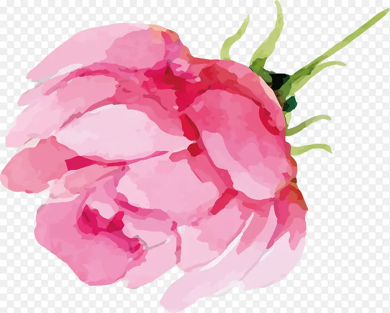 水彩粉色玫瑰设计