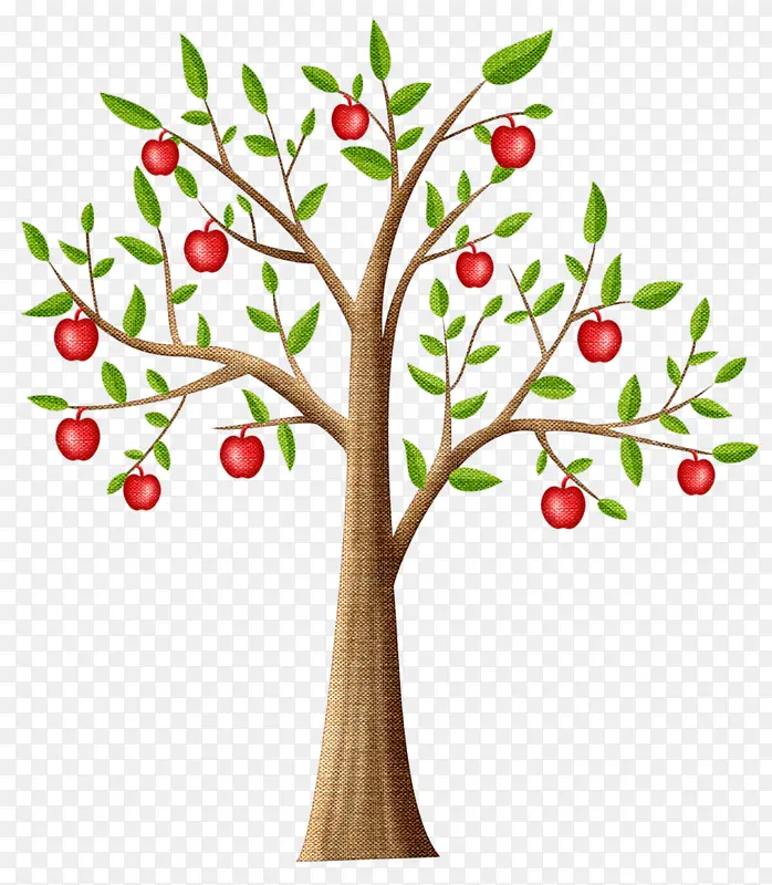 小苹果树