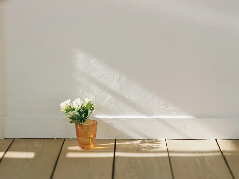 室内一角木地板白色墙壁小盆栽