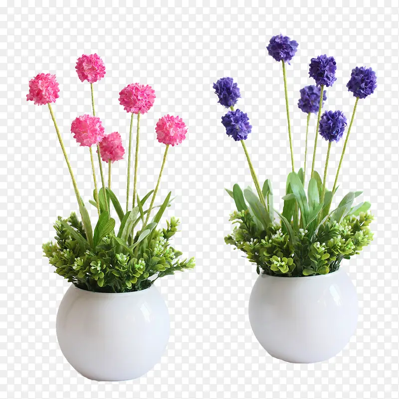 两盆鲜花