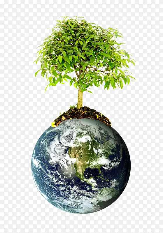 植物地球