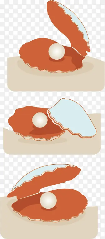 矢量贝壳