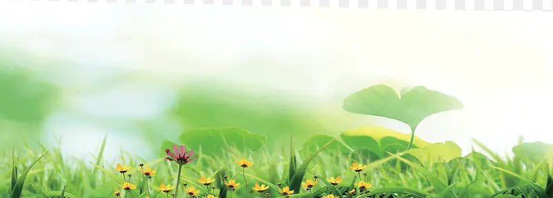 绿色草地花草