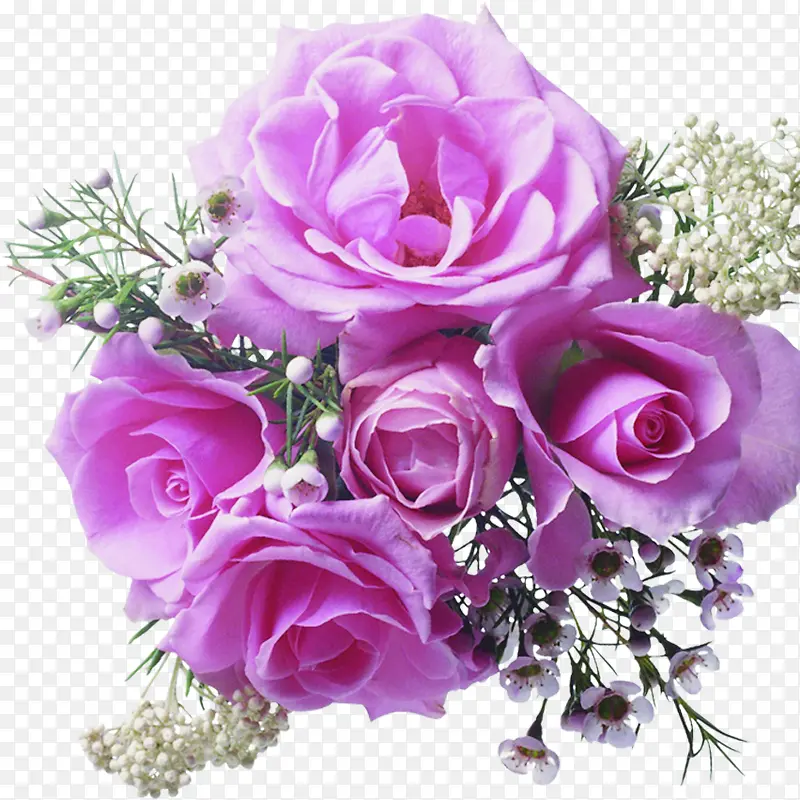 紫色玫瑰婚庆砖戒海报图片