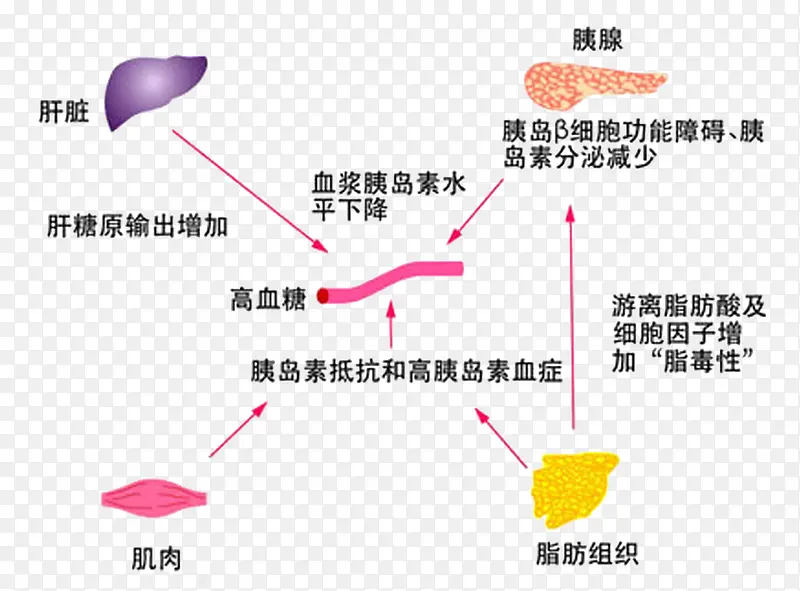 糖尿病知识图素材免抠