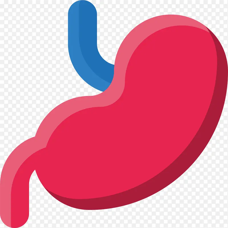 人体的胃部器官卡通