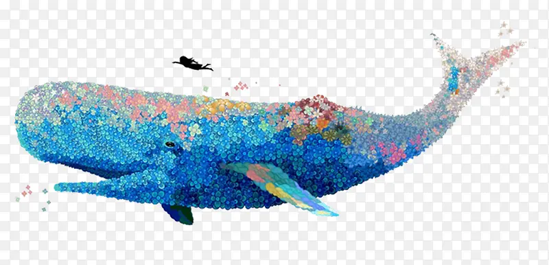彩绘鲸鱼