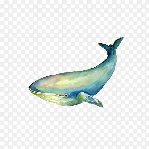 大鲸鱼彩绘图素材图片