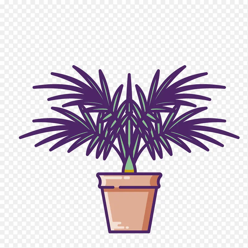紫色盆栽植物