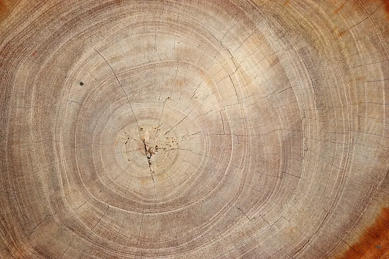 木纹年轮背景