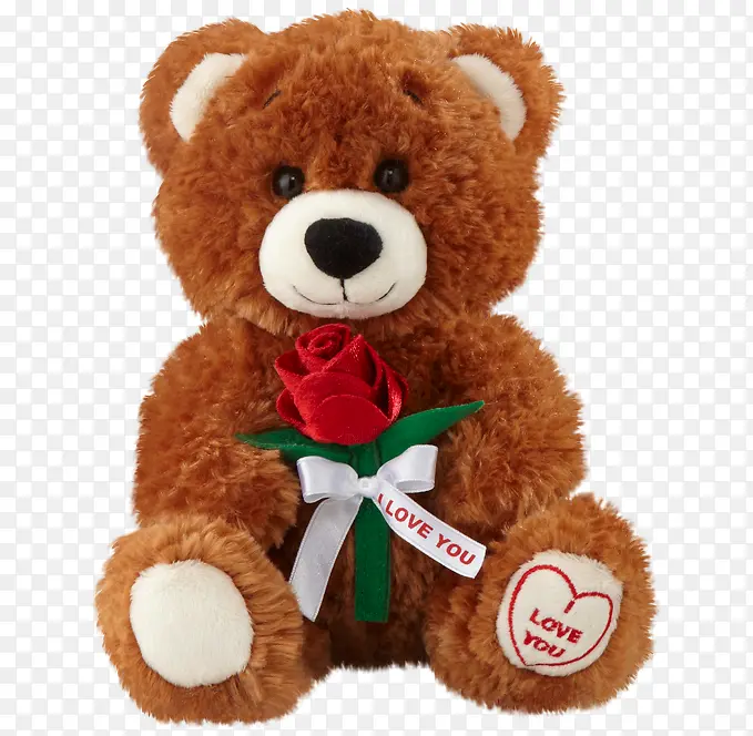 泰迪熊和玫瑰