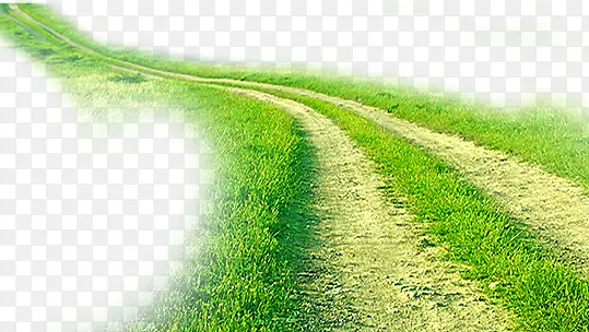 道路