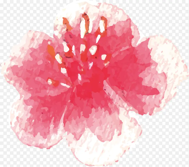 盛开的花PNG下载