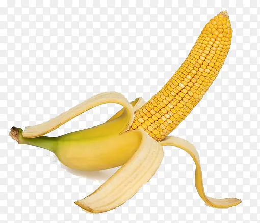 香蕉玉米设计