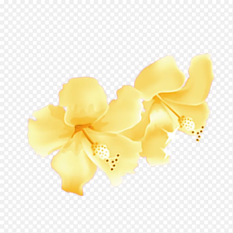 金黄的花朵