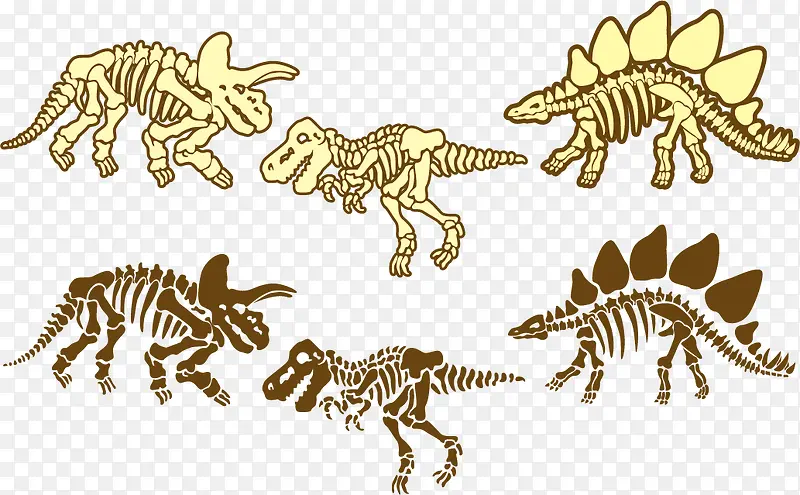 矢量图恐龙化石