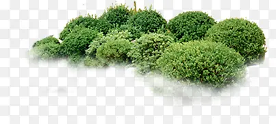 高清摄影公园里的花丛花坛