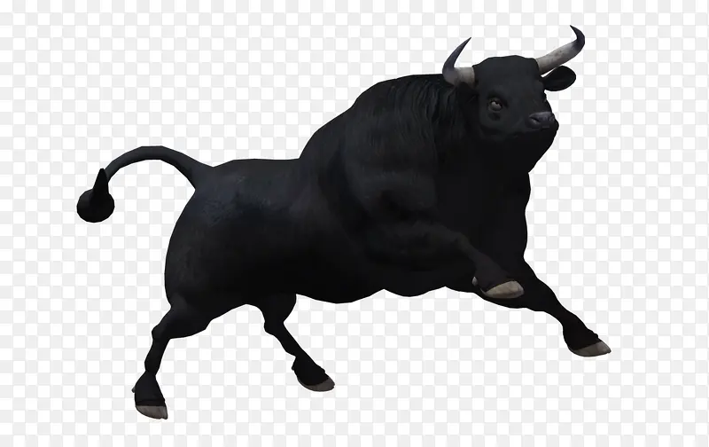 黑色公牛
