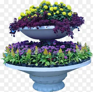 紫色花丛花坛环境素材