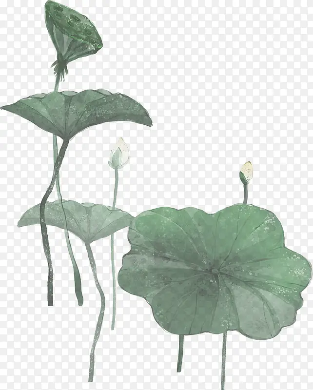 植物水墨效果设计莲花