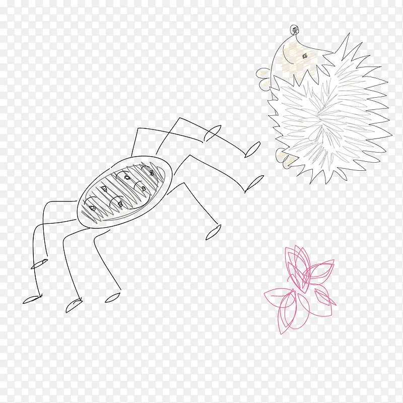 蜘蛛手绘