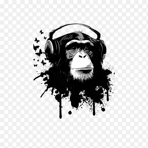 听音乐的猩猩