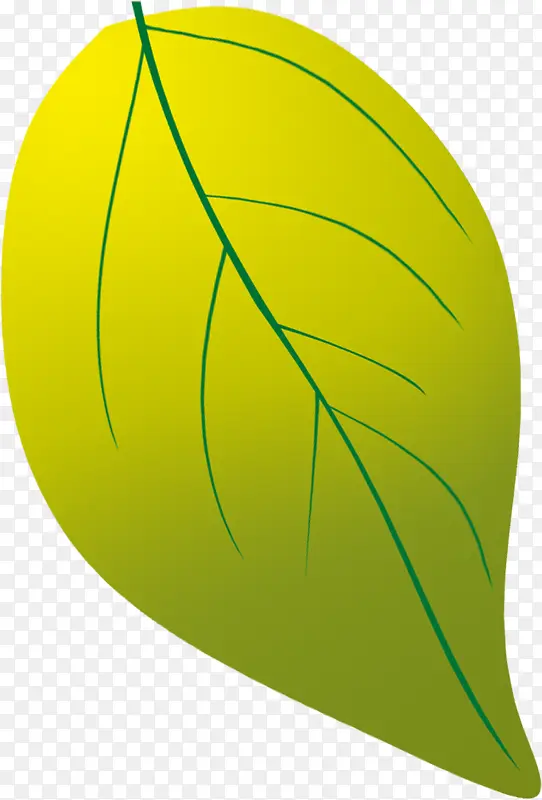 彩绘例会绿色植物叶子光效叠加