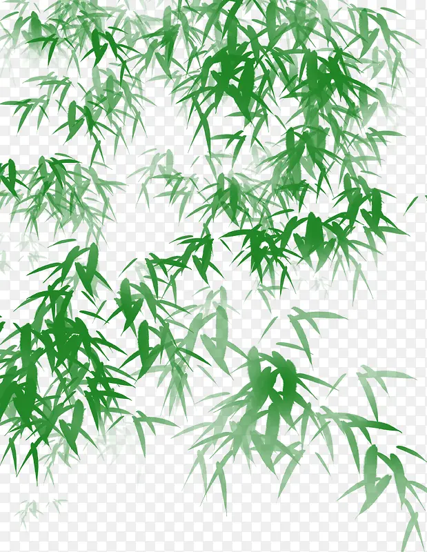 清新绿竹枝叶素材背景装饰PNG图片素材下载_图片编号qxjgmerd-免抠素材网