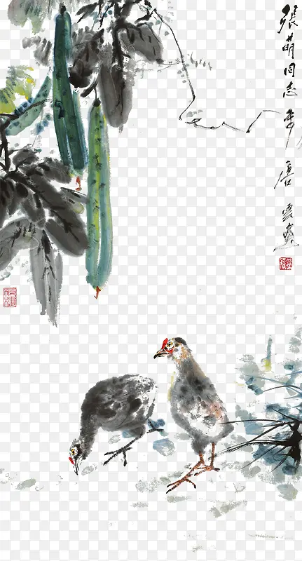中国化丝瓜瓜藤