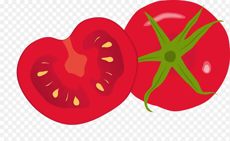 彩绘西红柿矢量图